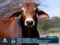 Lote S09