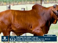 Lote S12
