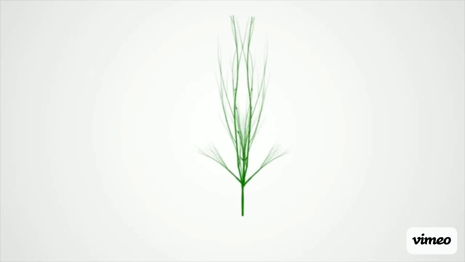 https://i.vimeocdn.com/video/2051302265-e2c2b359b03f95f380c20df30c9b46bbf4e448c71d9fb7cc3bc8be48f37b9149-d
