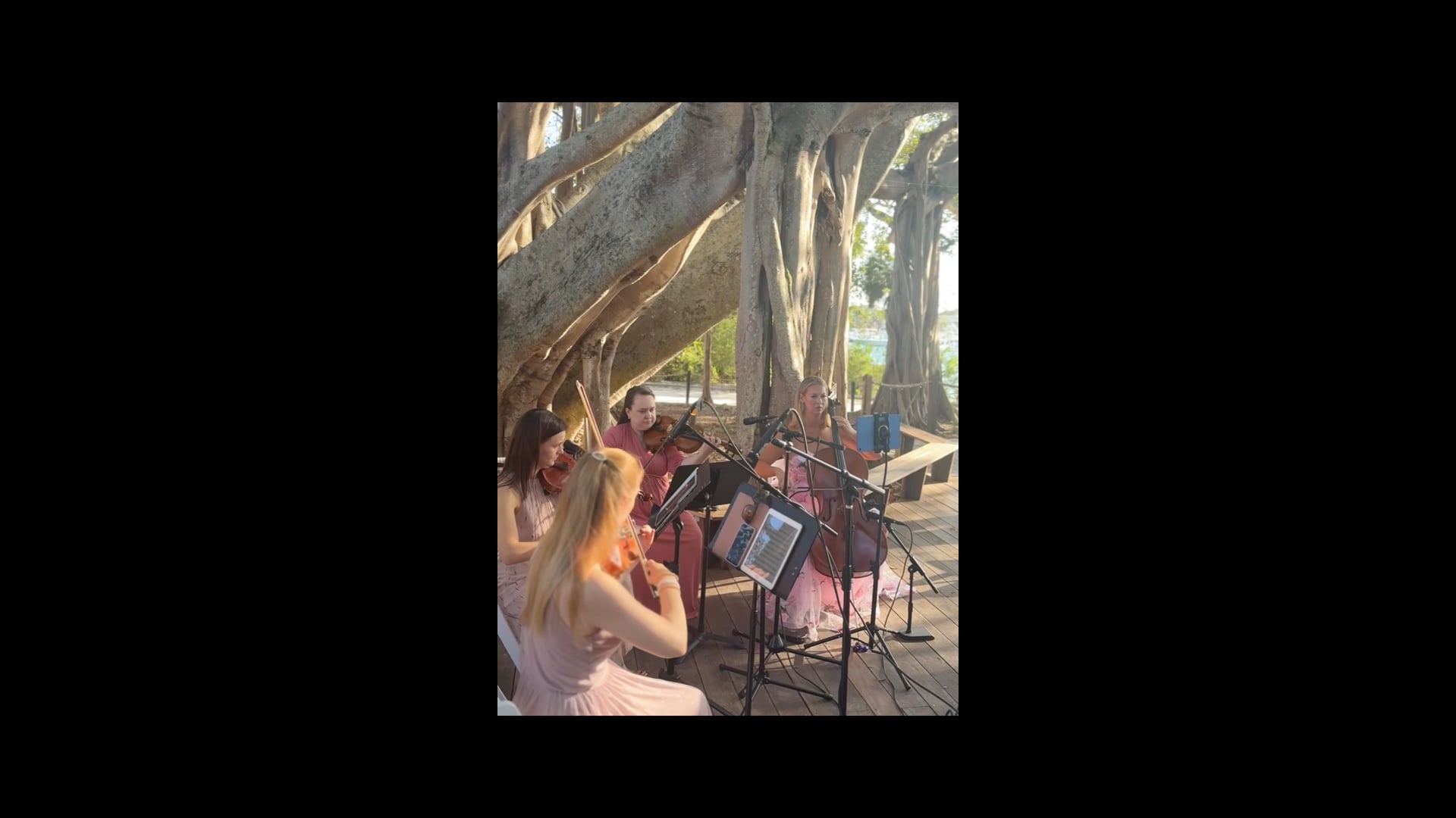 Promotional video thumbnail 8 for Perle Noire String Musicians
