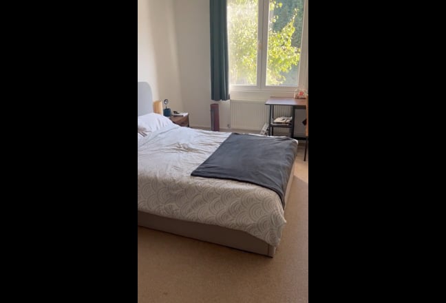 Video 1: