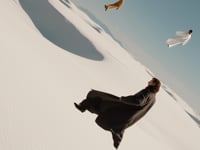 Related Embedded Video Item Thumbnail