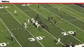 Horse Collar on run to the sideline