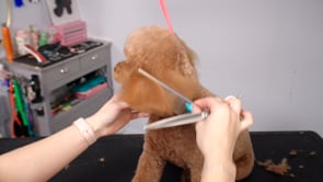 Related Embedded Video Item Thumbnail