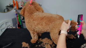 Related Embedded Video Item Thumbnail