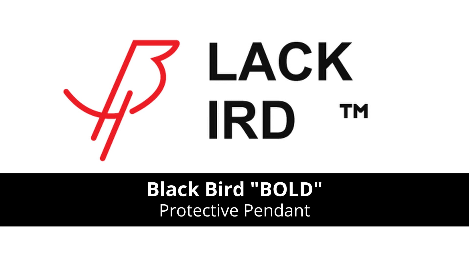 Black bird "BOLD" | Protective Pendant