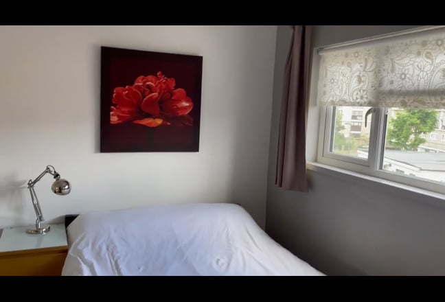 Video 1: