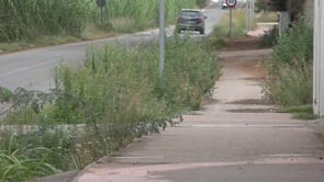 Un nou carril bici i la cessió del bar del club de futbol tensen el ple