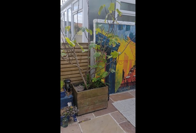 Video 1: