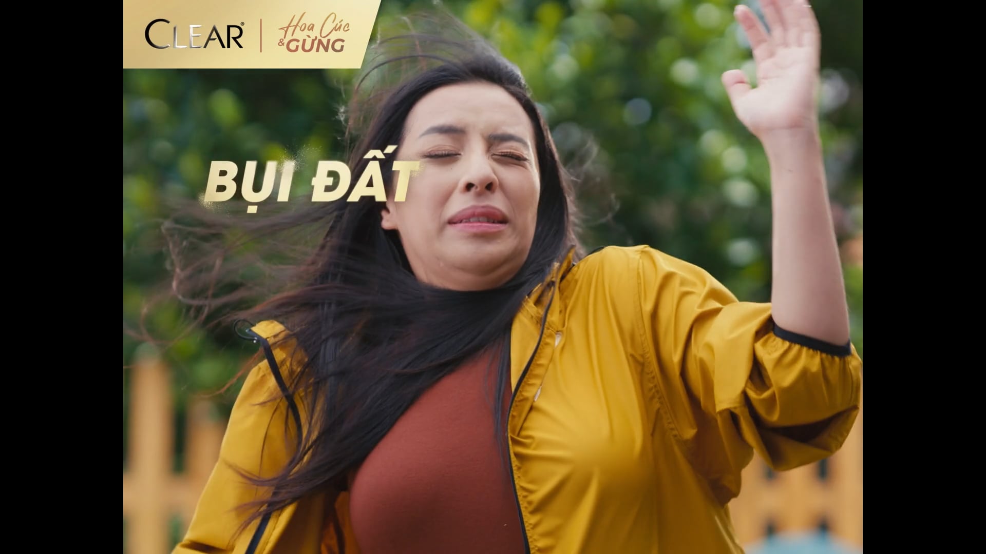 CLEAR - HOA CÚC & GỪNG