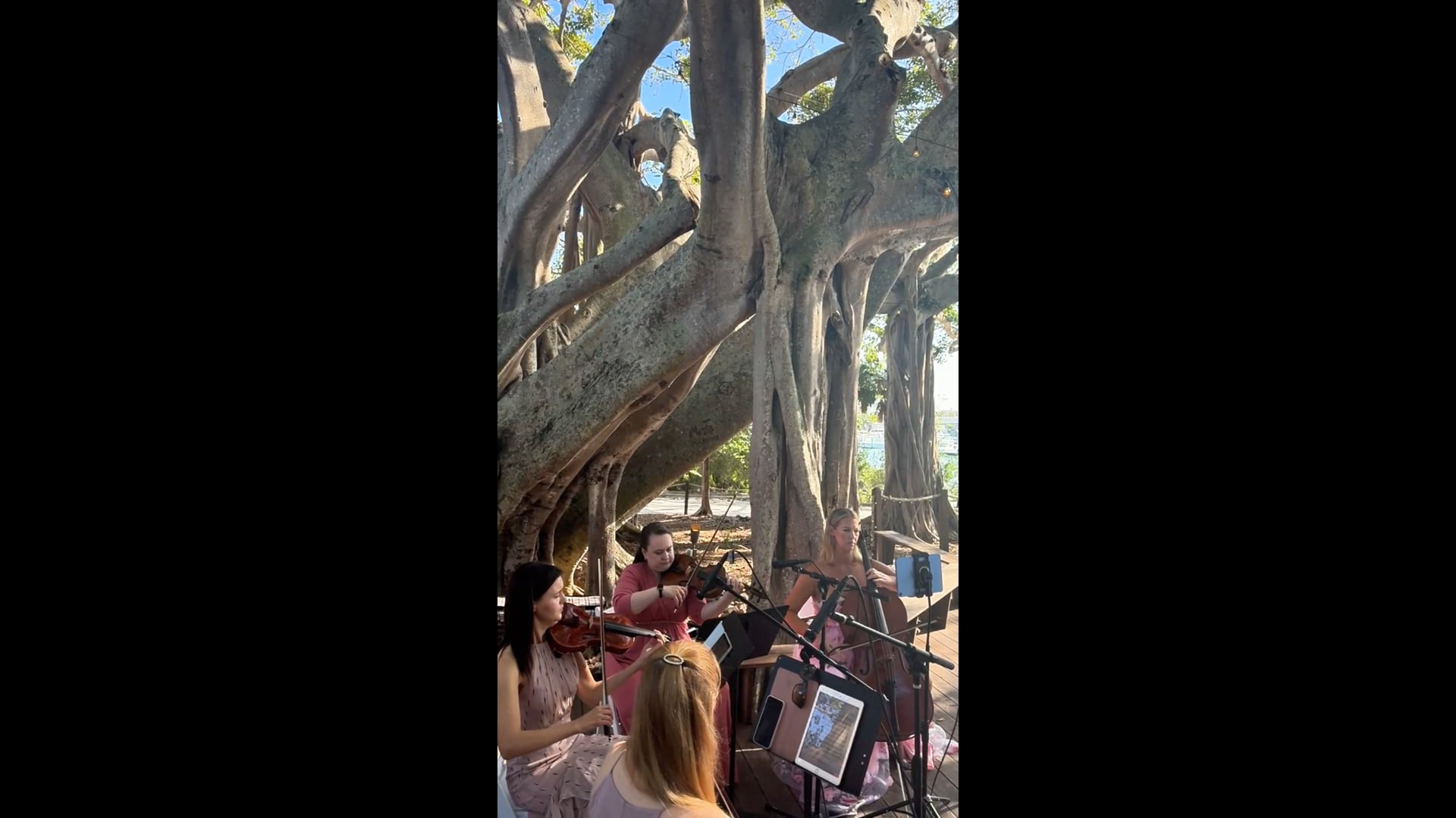 Promotional video thumbnail 1 for Perle Noire String Musicians