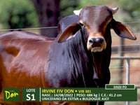Lote S01