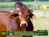 Lote S04