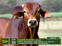 Lote S05
