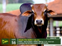 Lote S06