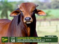 Lote S08