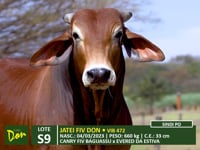 Lote S09