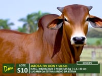 Lote S10