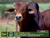Lote S07
