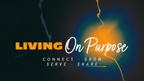 8.24.2025- Living On A Purpose: Serve