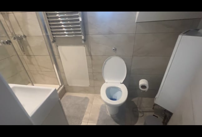 Video 1: