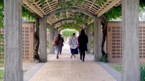 Related Embedded Video Item Thumbnail