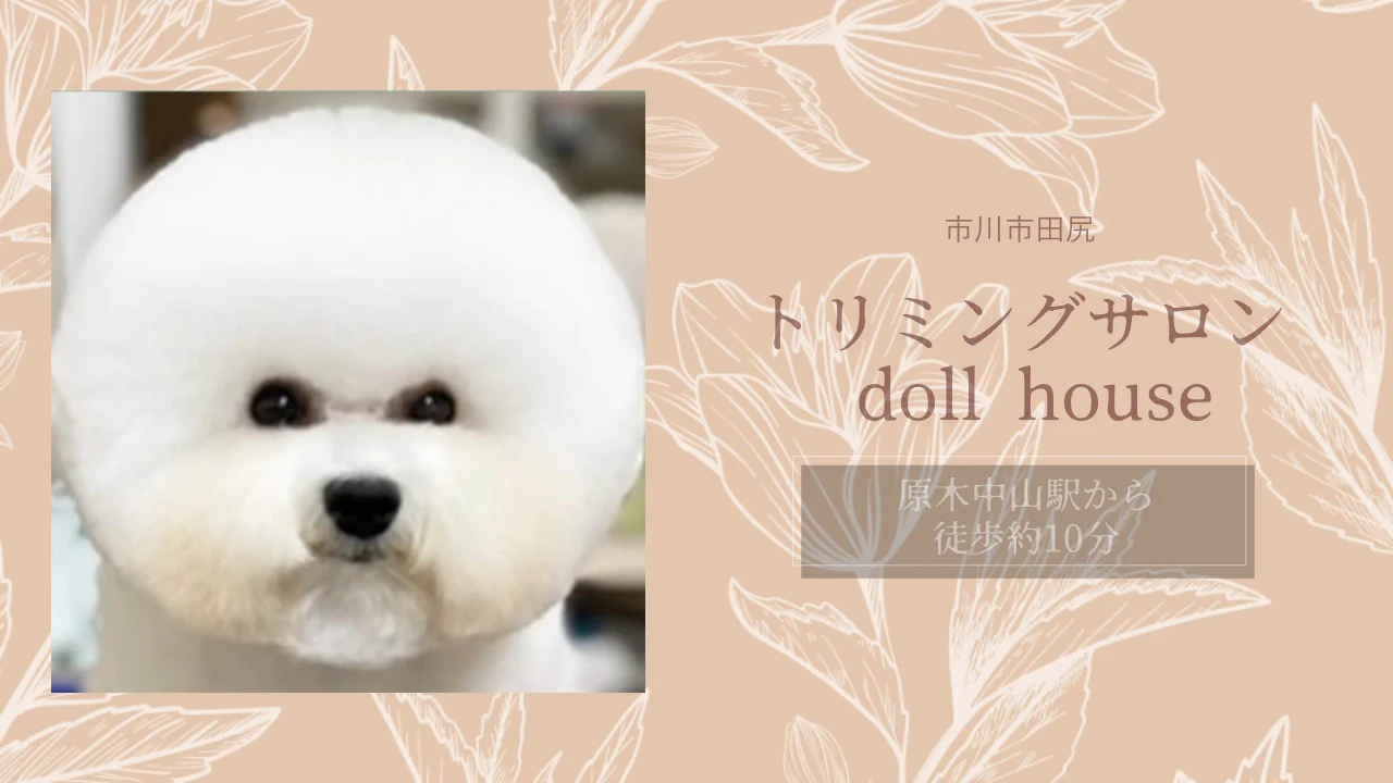 インテリア小物 ミニチュアドールハウスドックサロン