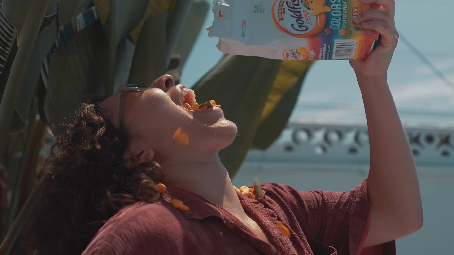 "Average Guy" X Goldfish