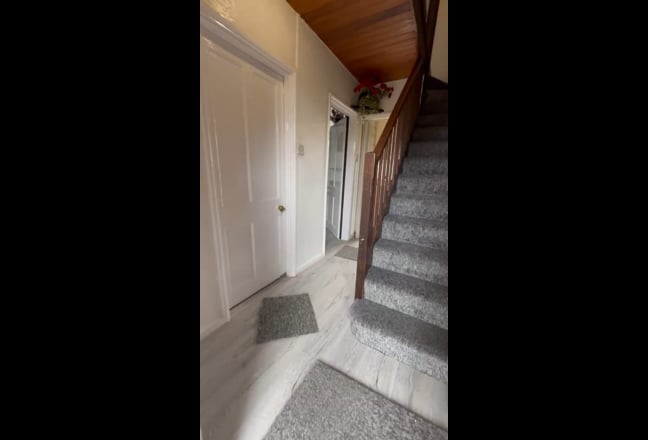 Video 1: