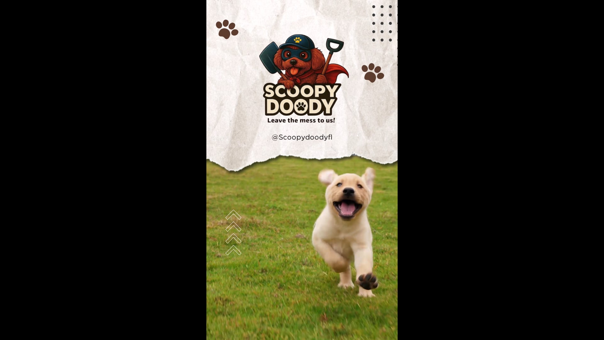 expert-dogs-waste-removal-free-quote-scoopy-doody-leave-the-mess