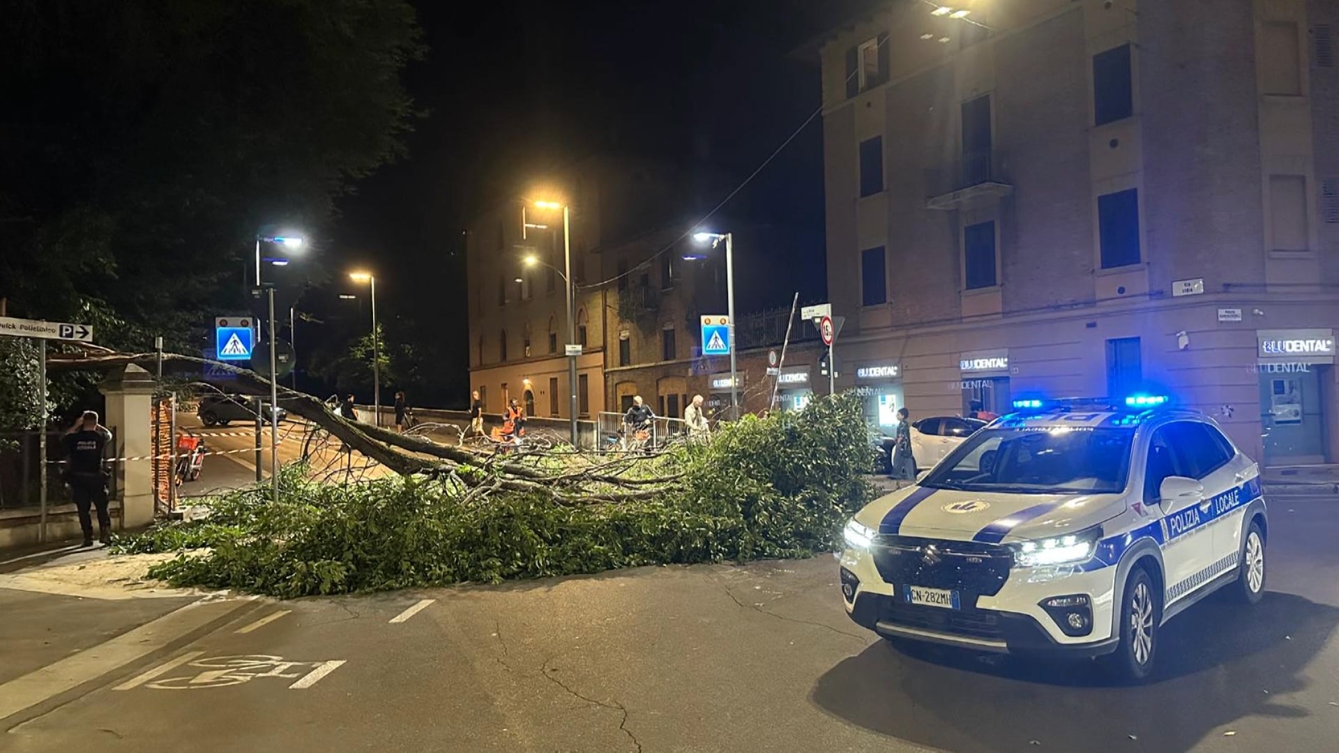 Un ramo si spezza e finisce in strada, ferite lievi per un giovane medico