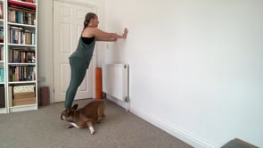 Related Embedded Video Item Thumbnail