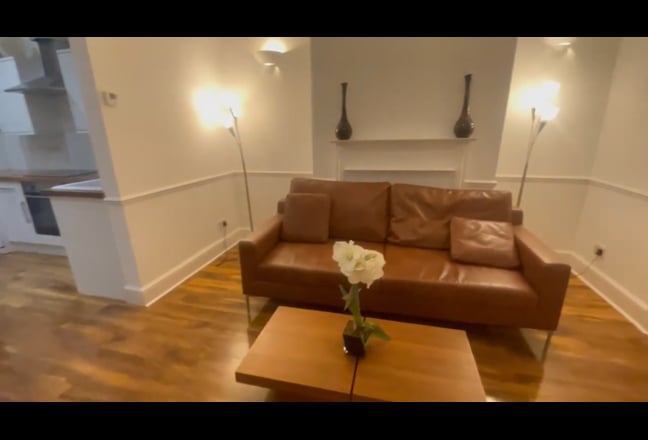 Video 1: