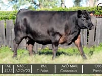 Lote 02
