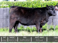 Lote 03