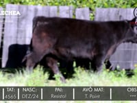 Lote 05