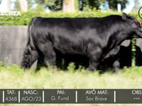 Lote 09