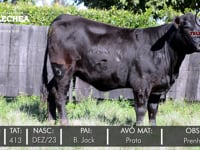 Lote 14