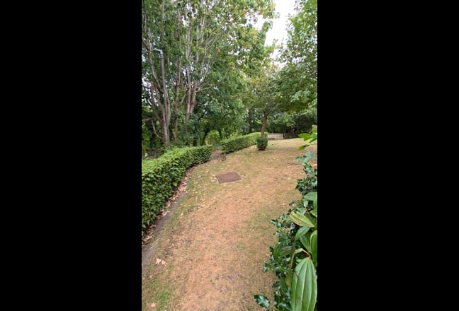 Video 1: