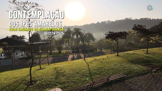 Capa do vídeo “Contemplação dos Ipês Amarelos - Solo Sagrado de Guarapiranga | Agosto / 2025”