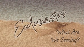 What Are We Seeking? - Dave Stevanus - 8-11-25