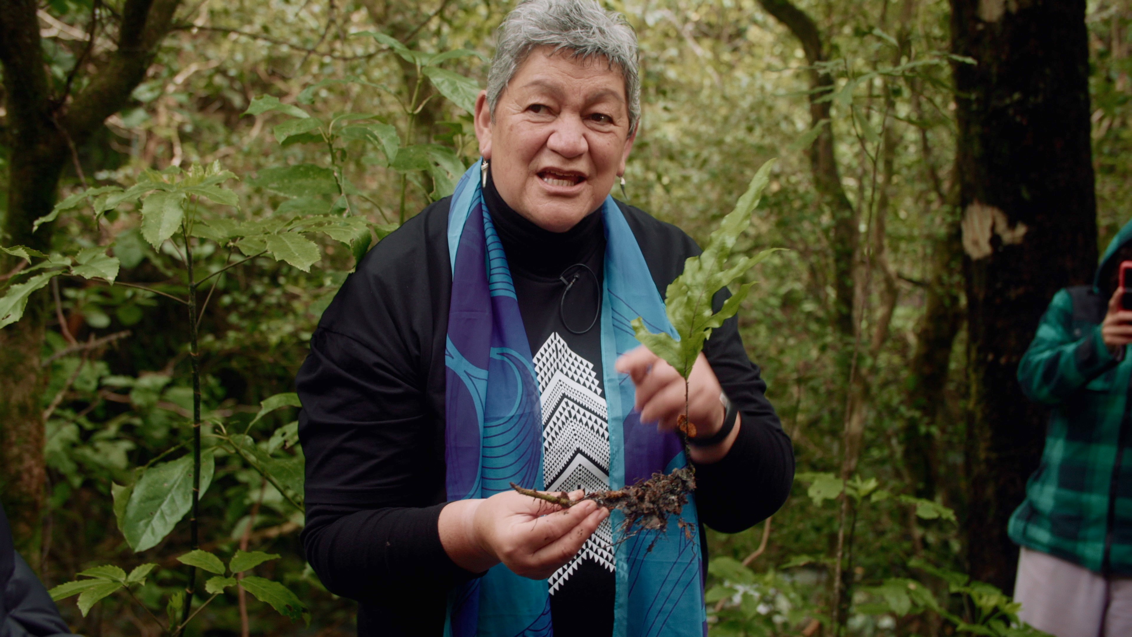 Rongoā Māori