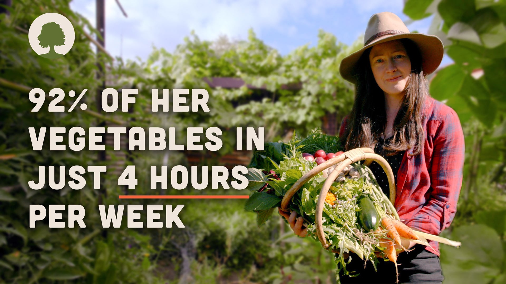 The Plummery: 5-Year Revisit