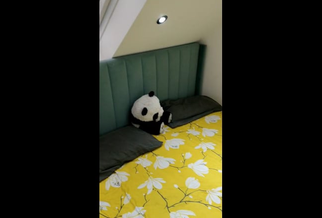 Video 1: