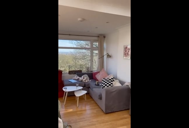 Video 1: