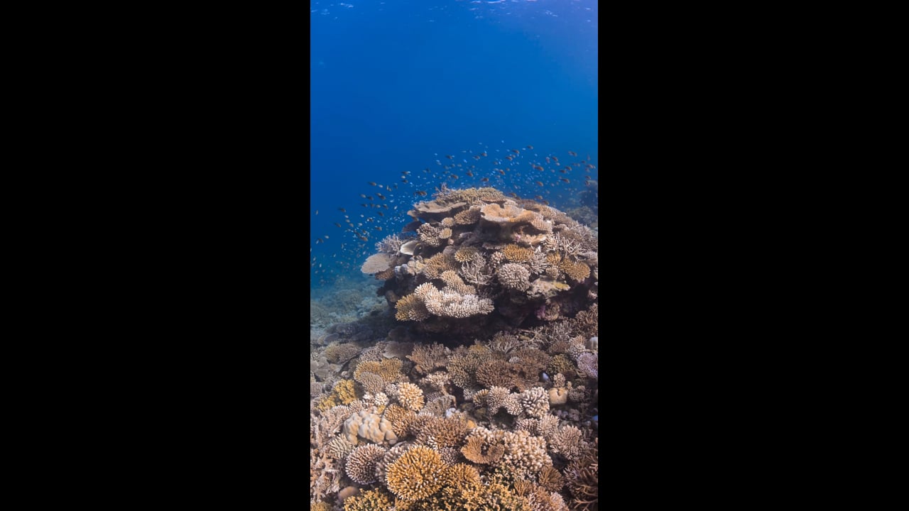 Bespoke Ocean Adventure