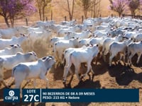 Lote 27C