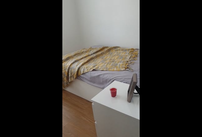 All female household - Super friendly, sociable Main Photo