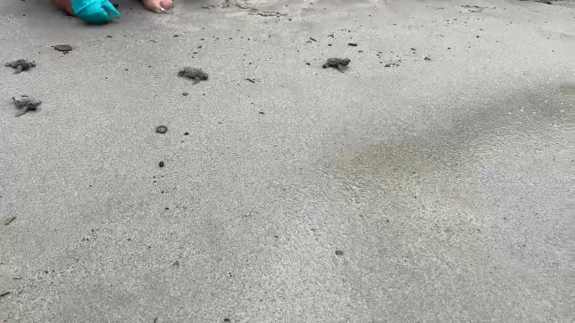 video