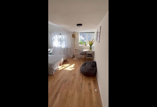 Amazing Studio Flat Near Haggerston Station Main Photo